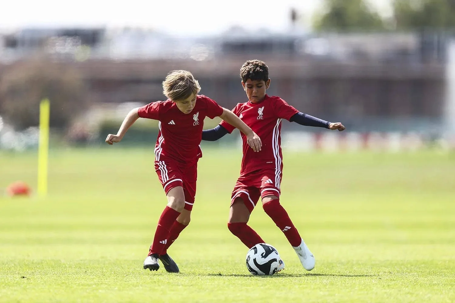 Summer Camps 2026